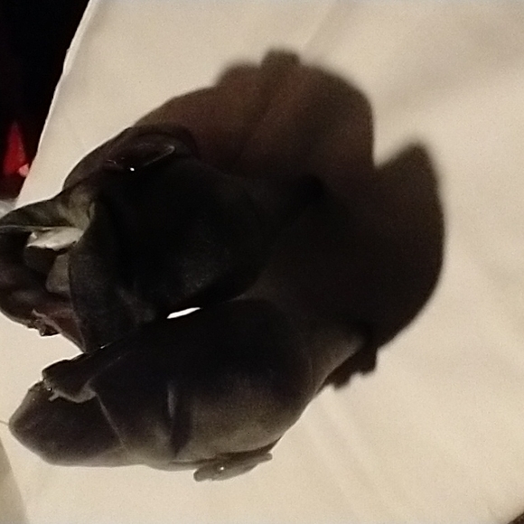 Boots - Picture 6 of 7